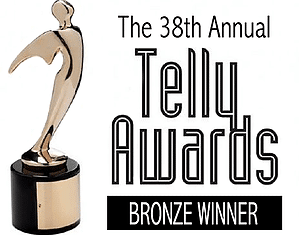 2017 38th bronze telly winner