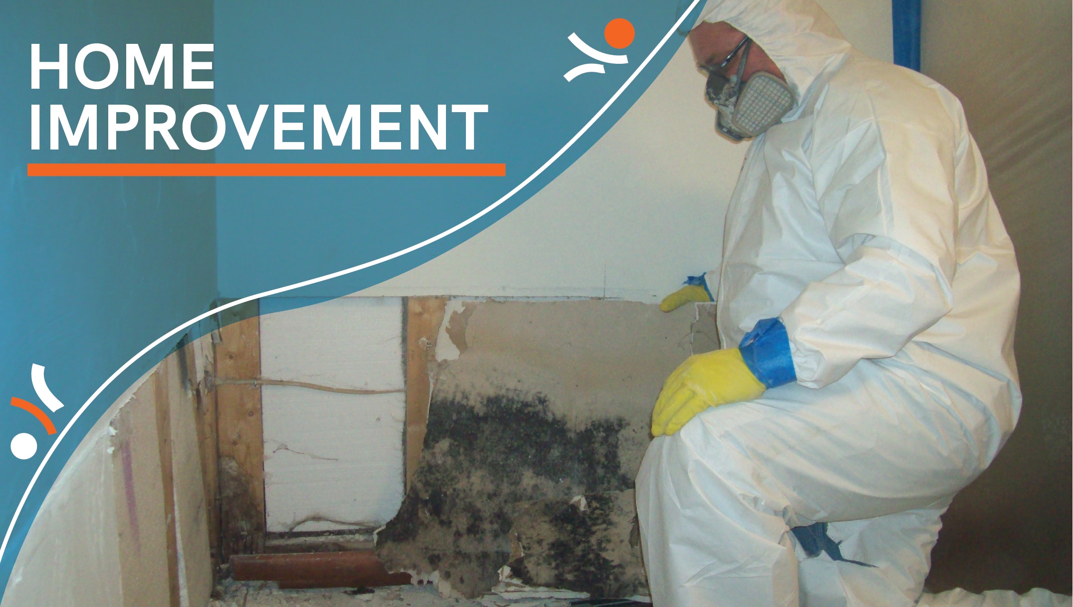 Case Studies ADVERTISING mold removal