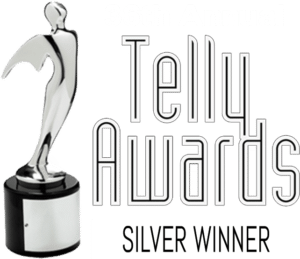 silver telly award ethic adverting agency trophy